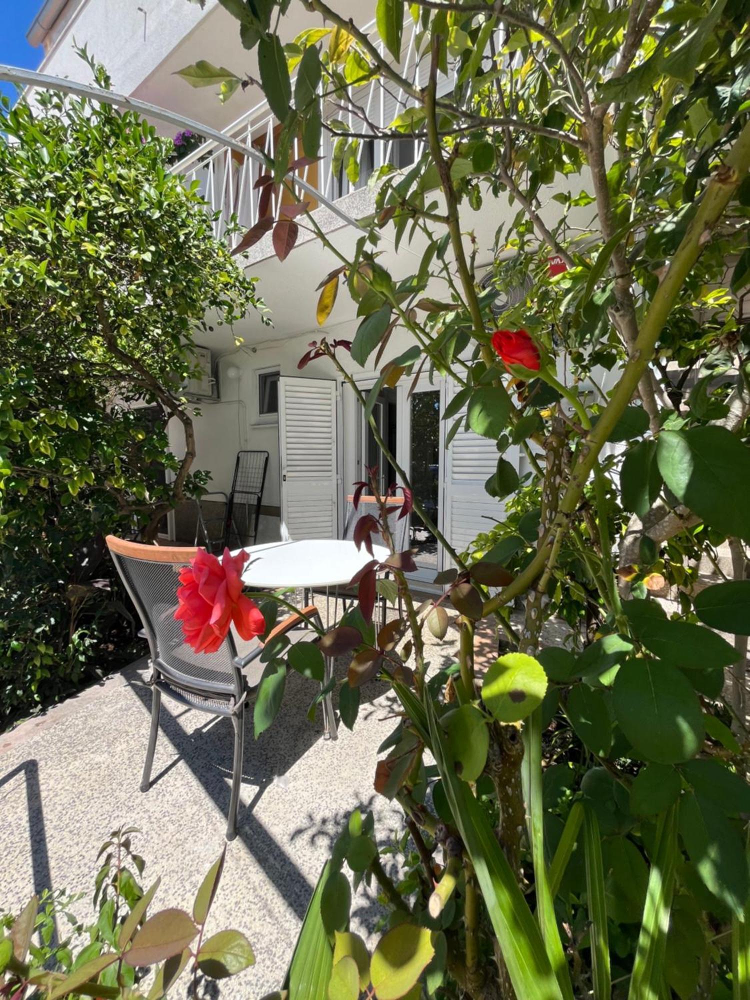 Green Oasis For Two, 30 Meters From Sea Zadar Exterior foto